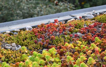 the cost of Balintraid green roof installation
