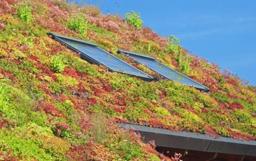 Balintraid living roof systems