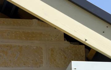 soffit repair Balintraid