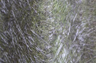 Balintraid fibreglass roof work